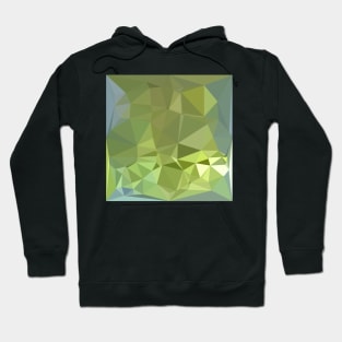 Olive Drab Abstract Low Polygon Background Hoodie